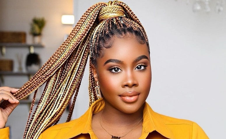 40 fotos de box braids loiros que vão te incentivar a mudar o visual