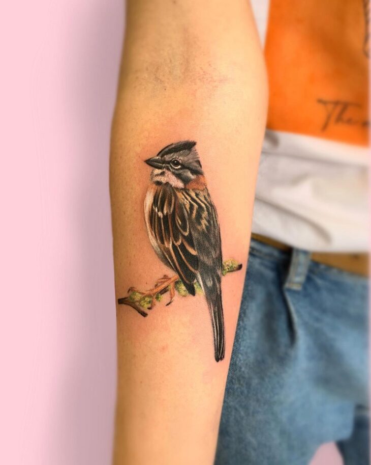 Tatuagem de pássaros 146