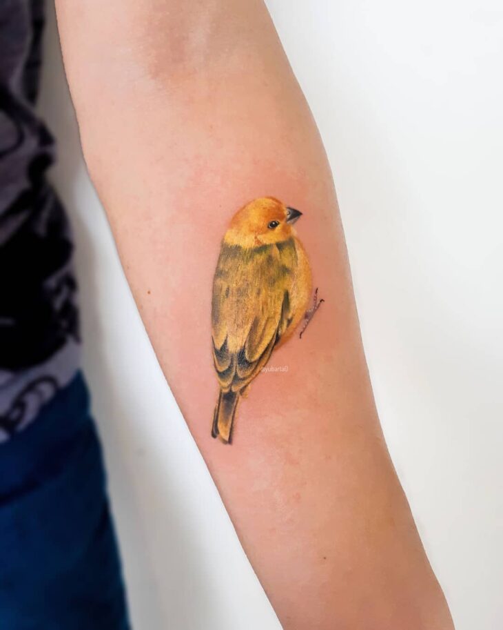 Tatuagem de pássaros 79