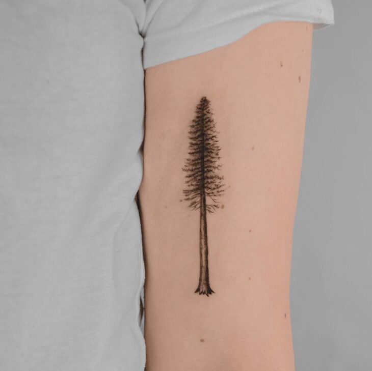 tatuagem de árvore 8