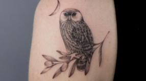 105 fotos de tatuagem de coruja perfeitas para quem ama essa ave