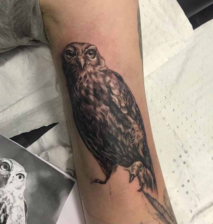 tatuagem de coruja 103