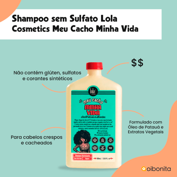 shampoo sem sulfato 22