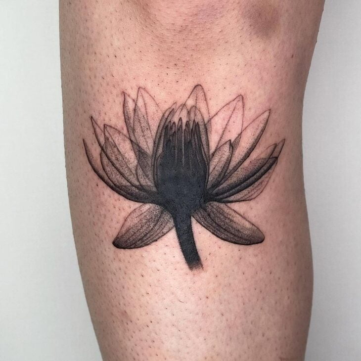 tatuagem de flor de lótus 11