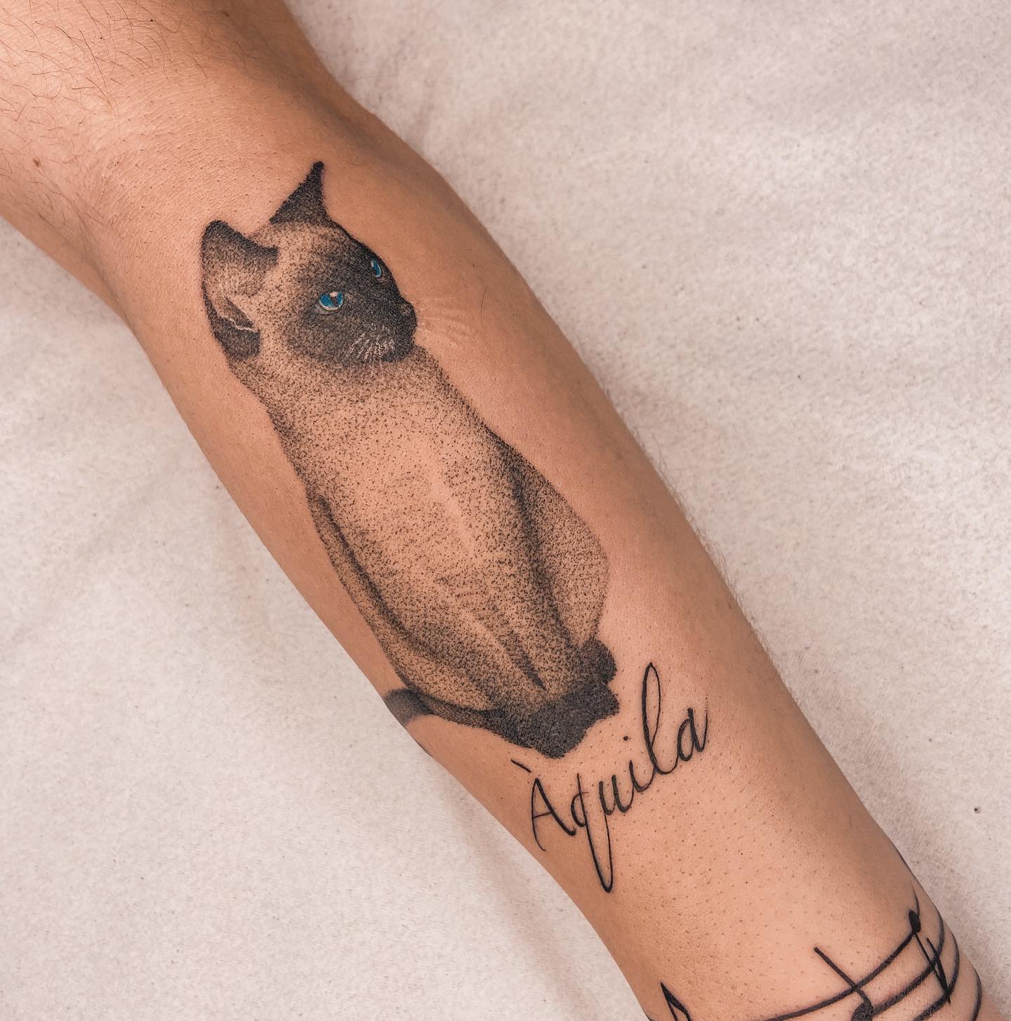 tatuagem de gato 90