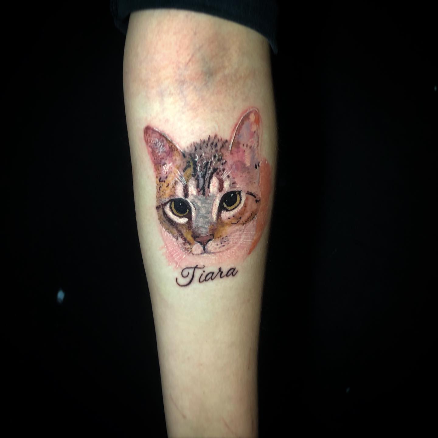 tatuagem de gato 18