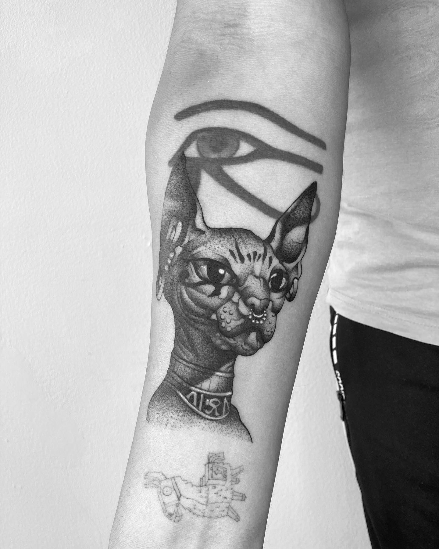 tatuagem de gato 99