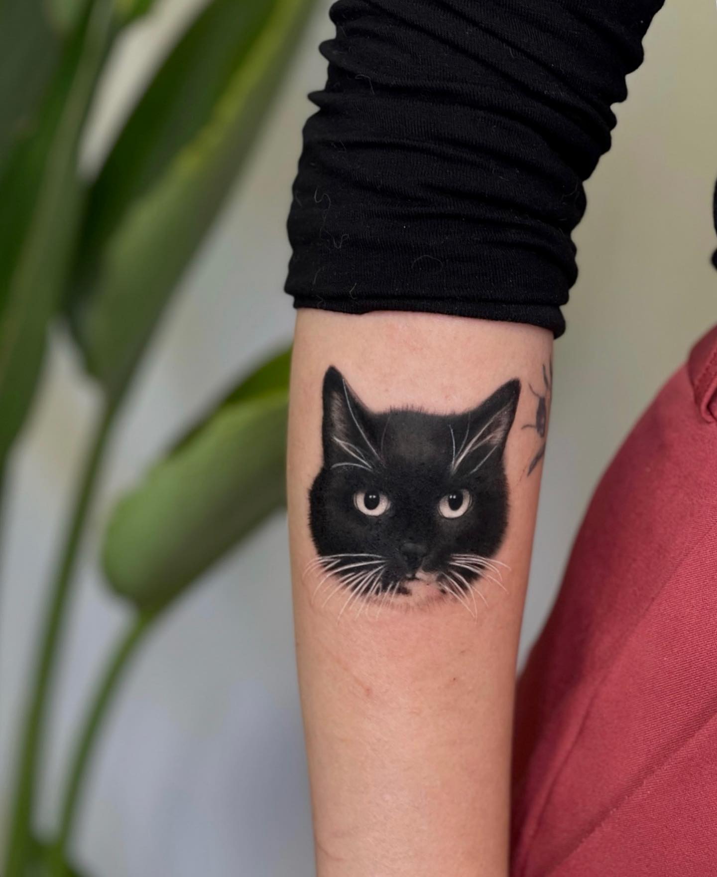 tatuagem de gato 107