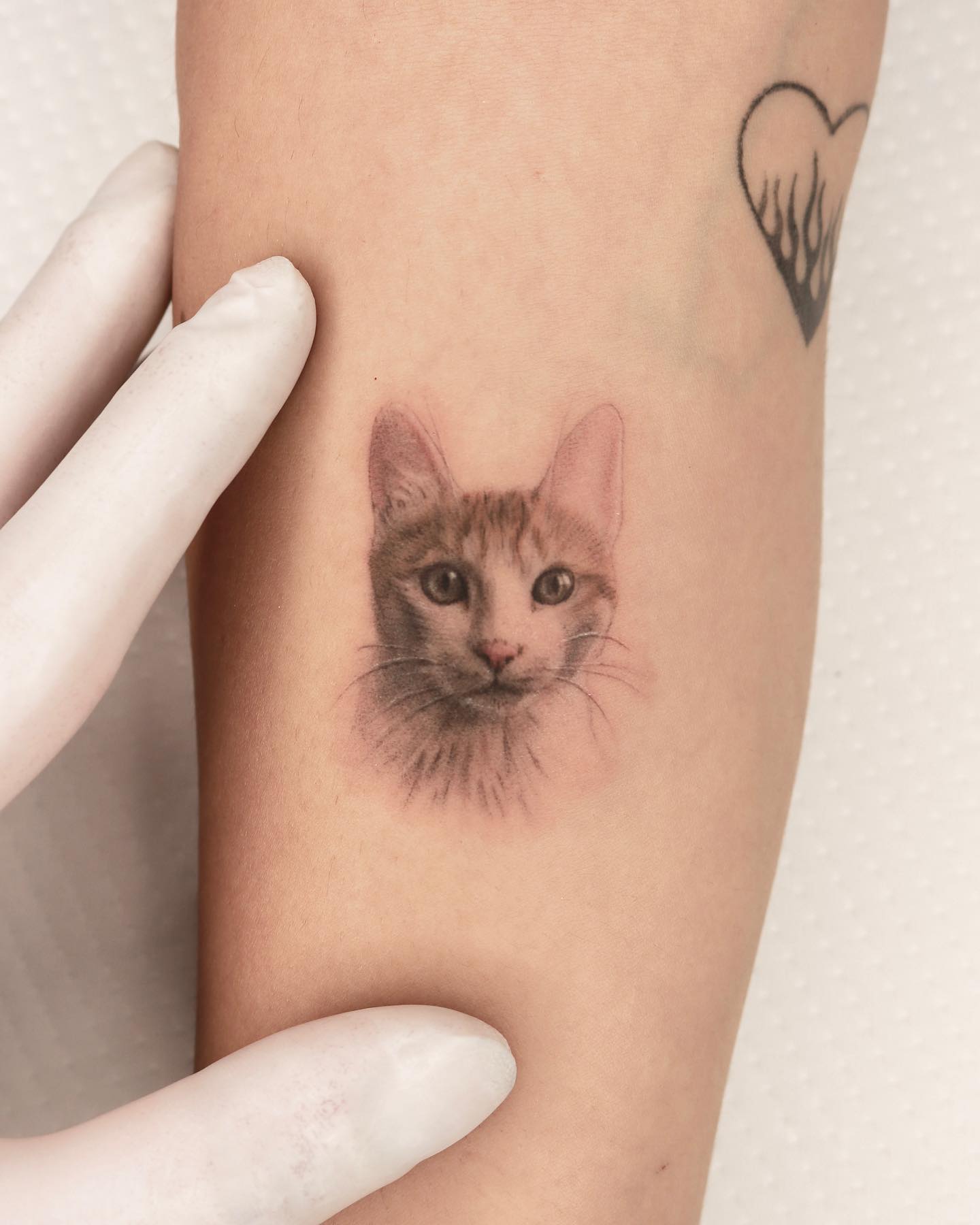 tatuagem de gato 112