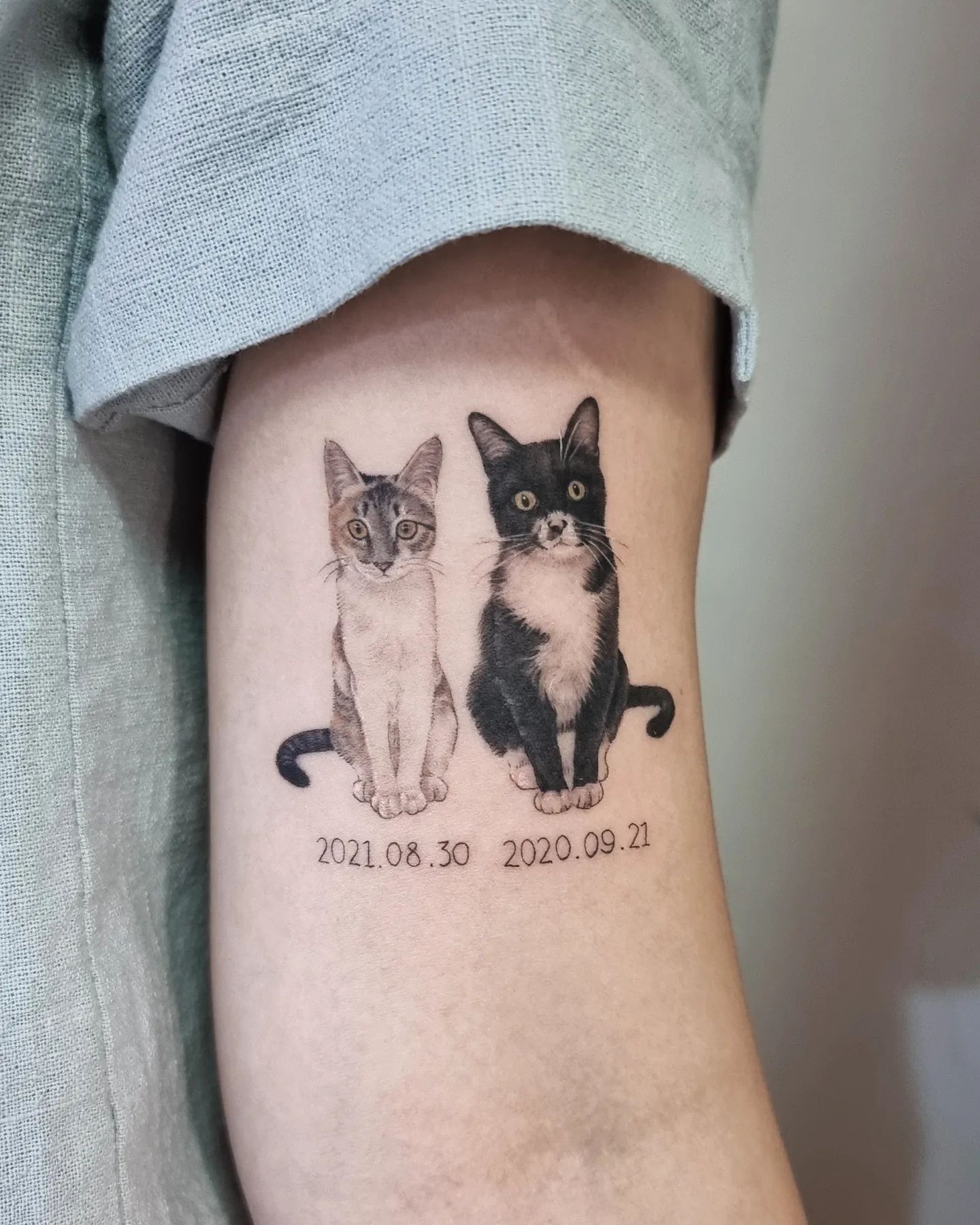 tatuagem de gato 120