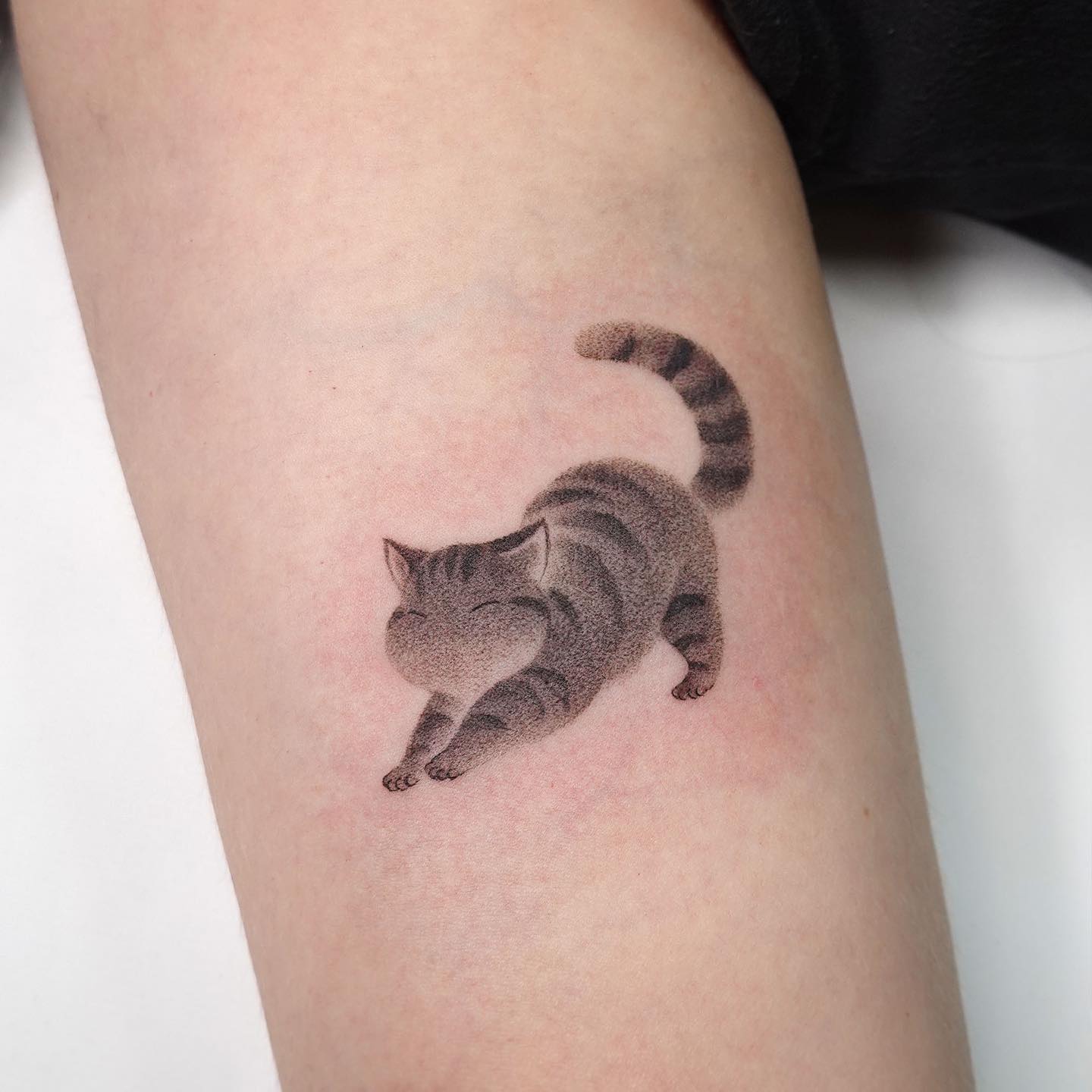 tatuagem de gato 135