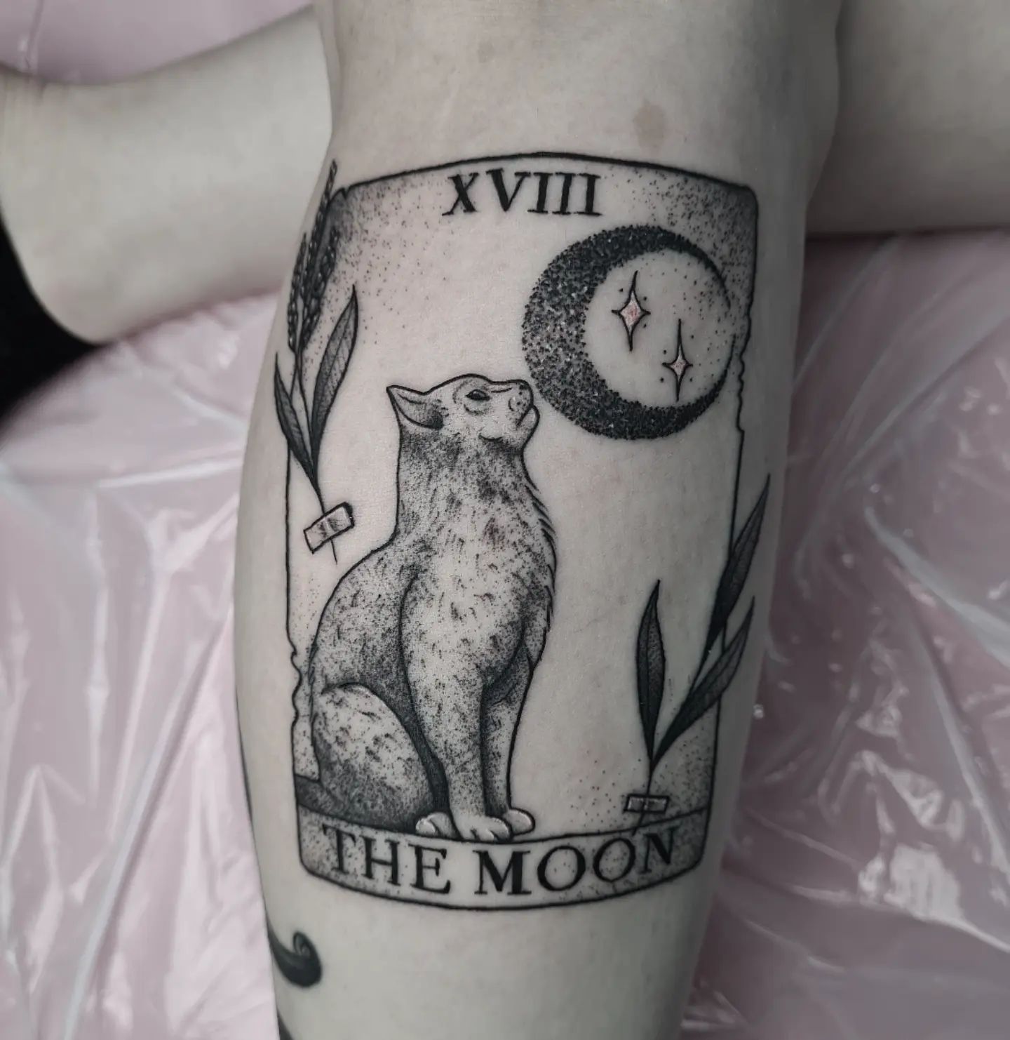 tatuagem de gato 136