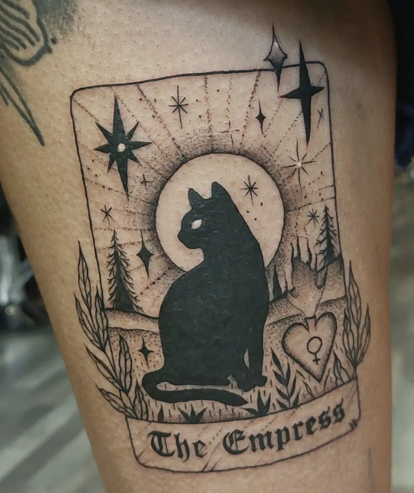 tatuagem de gato 143