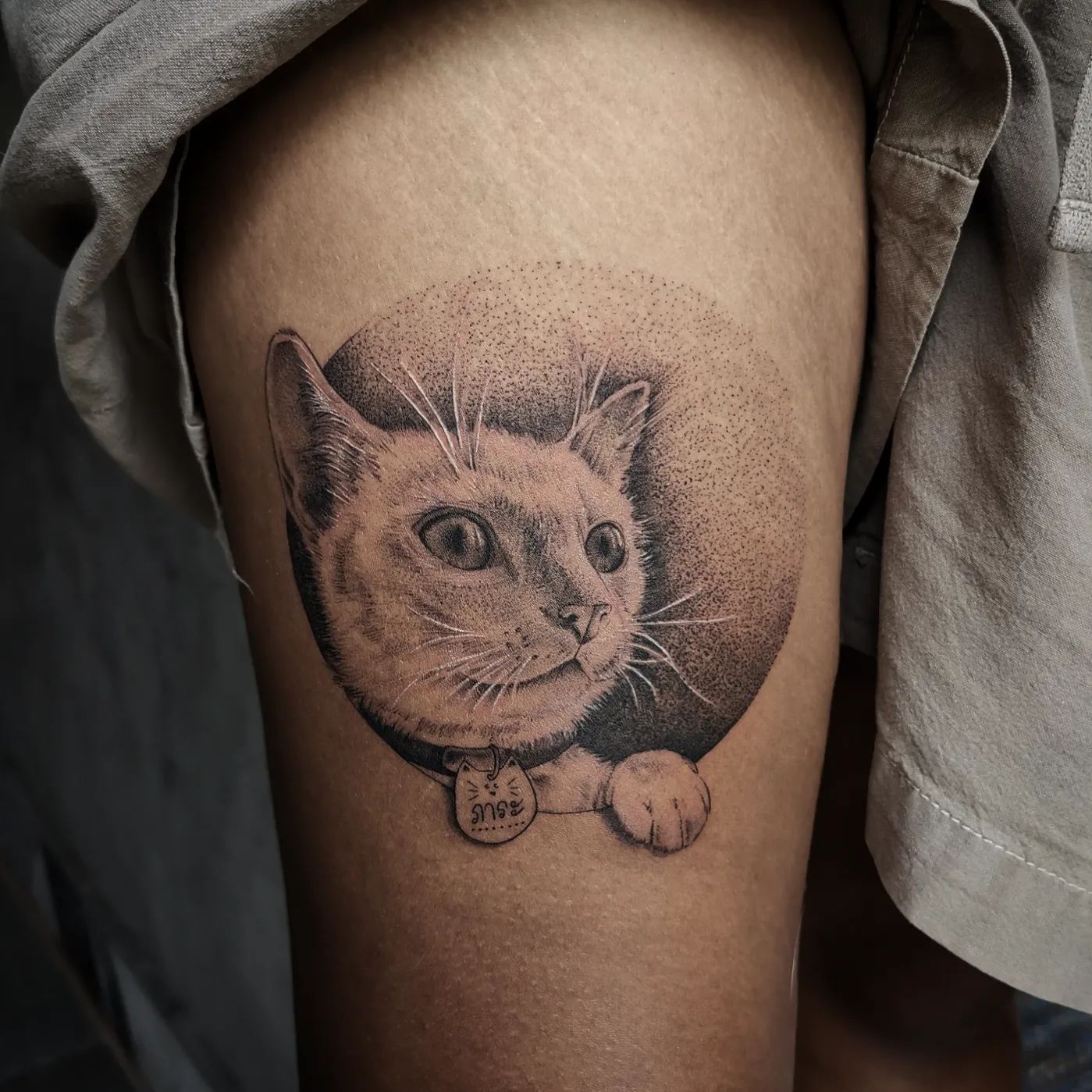 tatuagem de gato 71