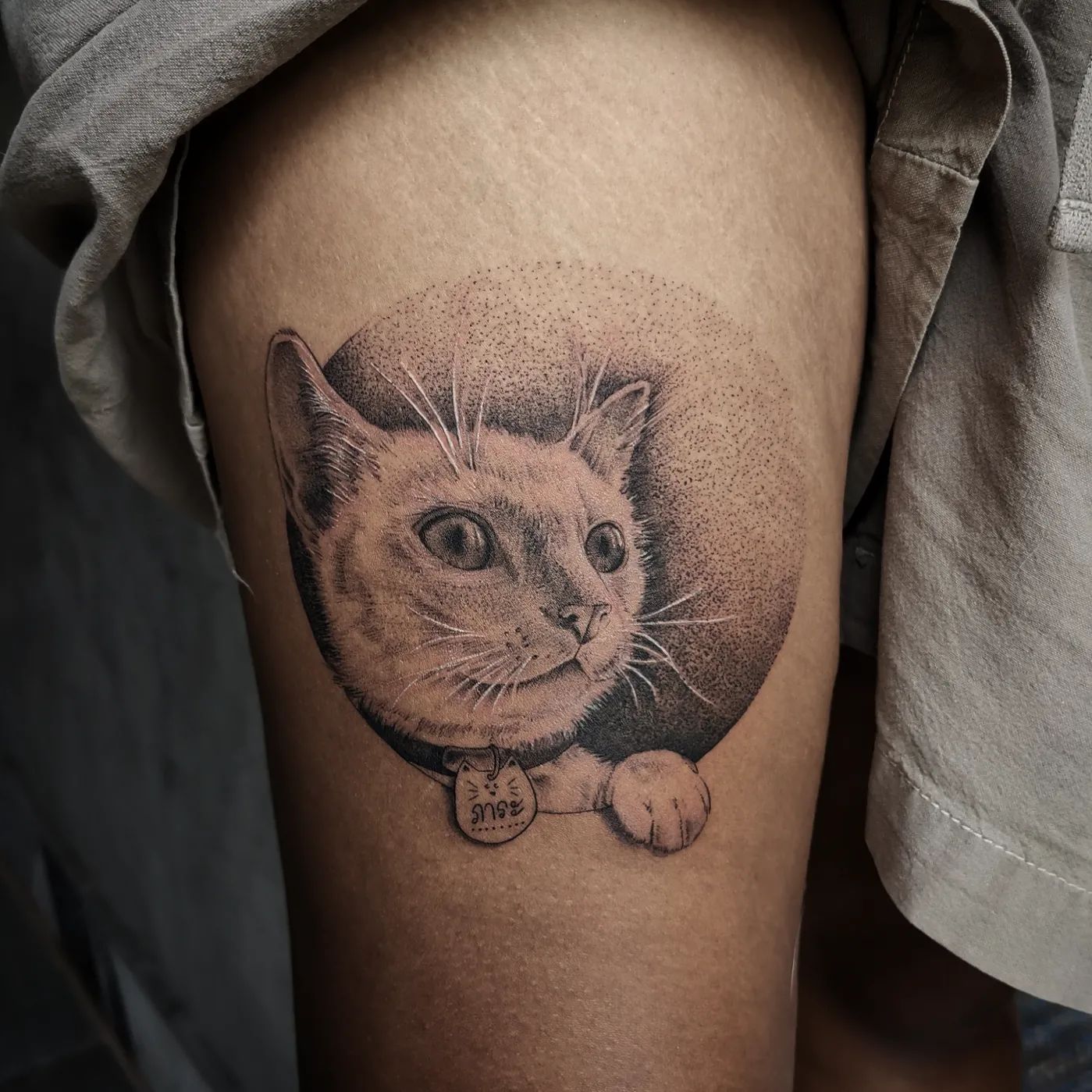 tatuagem de gato 147