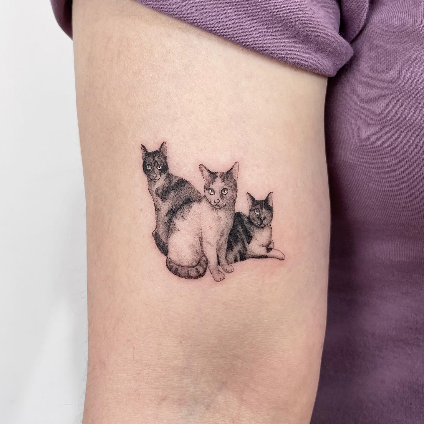 tatuagem de gato