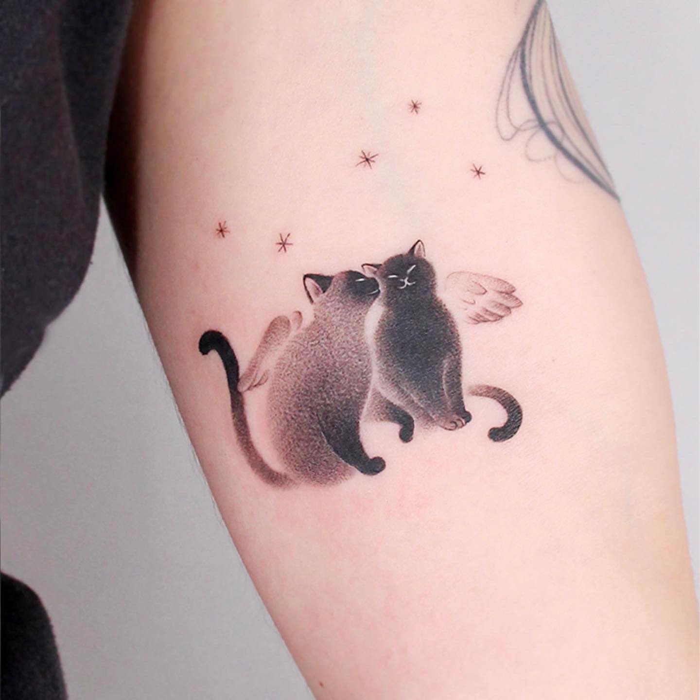 tatuagem de gato