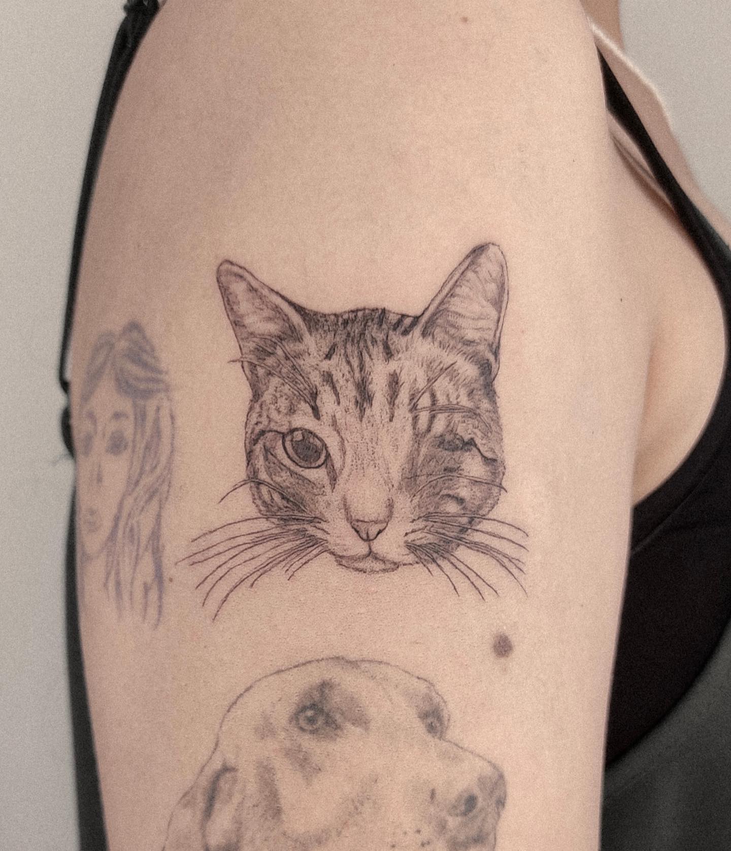 tatuagem de gato