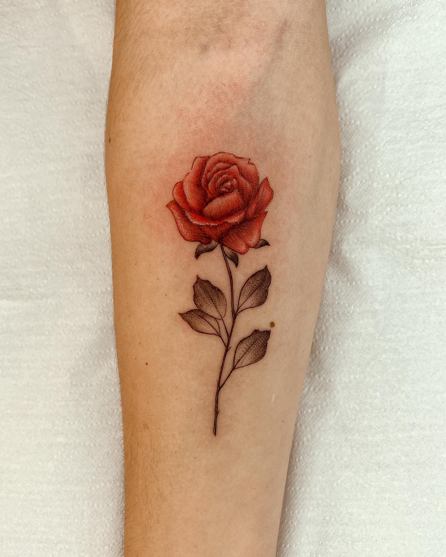 tatuagem rosa vermelha