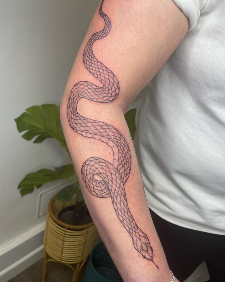 tatuagem de cobra 151